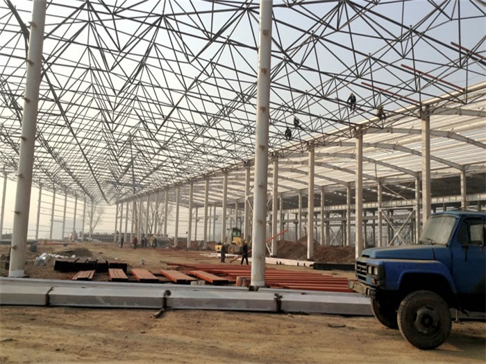 邛崃网架架构工程